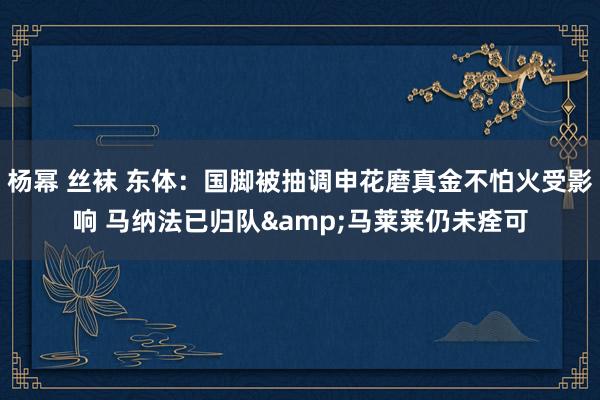 杨幂 丝袜 东体：国脚被抽调申花磨真金不怕火受影响 马纳法已归队&马莱莱仍未痊可