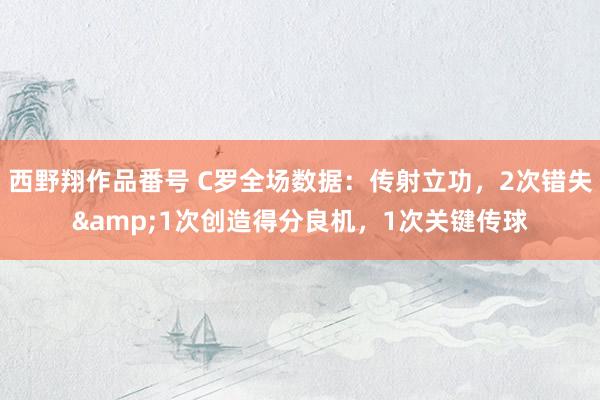 西野翔作品番号 C罗全场数据：传射立功，2次错失&1次创造得分良机，1次关键传球