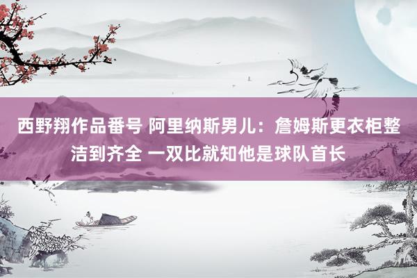 西野翔作品番号 阿里纳斯男儿：詹姆斯更衣柜整洁到齐全 一双比就知他是球队首长