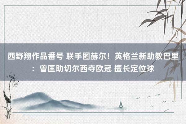 西野翔作品番号 联手图赫尔！英格兰新助教巴里：曾匡助切尔西夺欧冠 擅长定位球
