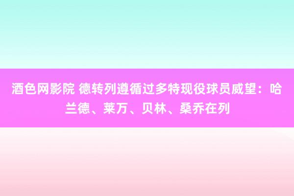酒色网影院 德转列遵循过多特现役球员威望：哈兰德、莱万、贝林、桑乔在列