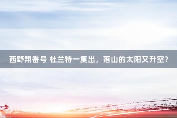 西野翔番号 杜兰特一复出，落山的太阳又升空？
