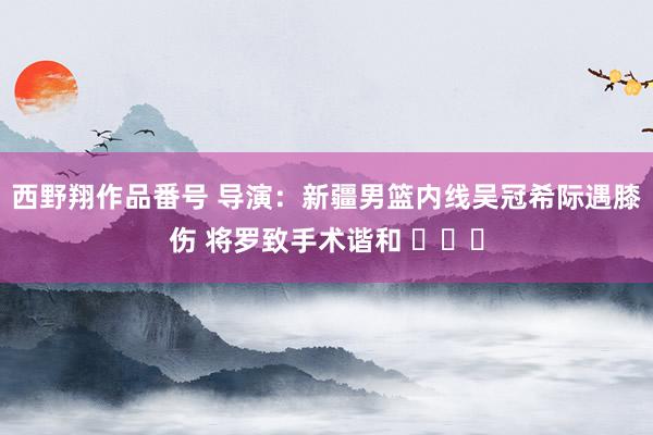 西野翔作品番号 导演：新疆男篮内线吴冠希际遇膝伤 将罗致手术谐和 ​​​