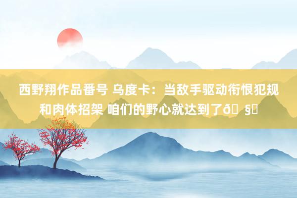 西野翔作品番号 乌度卡：当敌手驱动衔恨犯规和肉体招架 咱们的野心就达到了🧐