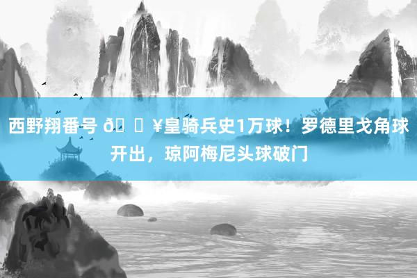 西野翔番号 🔥皇骑兵史1万球！罗德里戈角球开出，琼阿梅尼头球破门